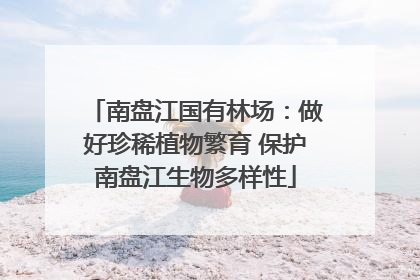 南盘江国有林场：做好珍稀植物繁育 保护南盘江生物多样性