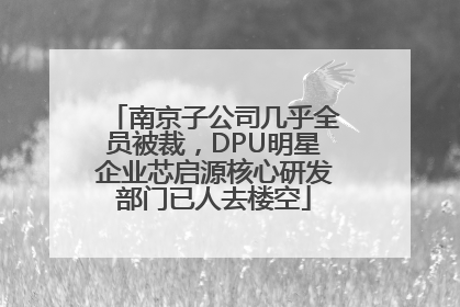南京子公司几乎全员被裁，DPU明星企业芯启源核心研发部门已人去楼空