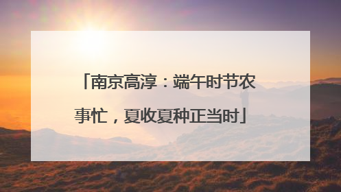 南京高淳：端午时节农事忙，夏收夏种正当时