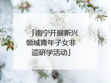 南宁开展新兴领域青年子女非遗研学活动