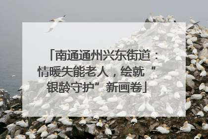 南通通州兴东街道：情暖失能老人，绘就“银龄守护”新画卷