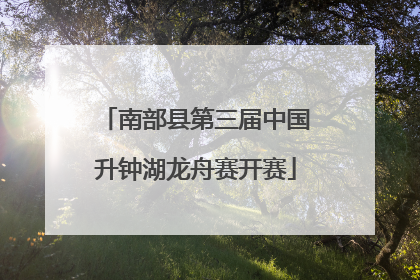 南部县第三届中国升钟湖龙舟赛开赛