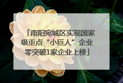 南阳宛城区实现国家级重点“小巨人”企业零突破1家企业上榜