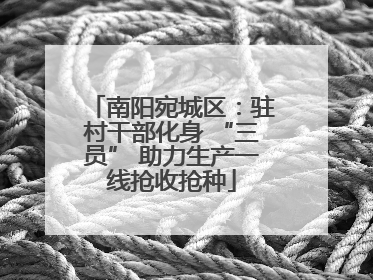 南阳宛城区：驻村干部化身 “三员” 助力生产一线抢收抢种