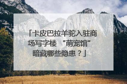 卡皮巴拉羊驼入驻商场写字楼 “萌宠馆”暗藏哪些隐患？
