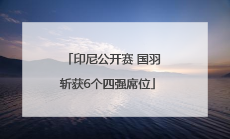印尼公开赛 国羽斩获6个四强席位