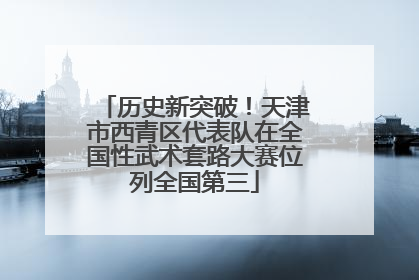 历史新突破！天津市西青区代表队在全国性武术套路大赛位列全国第三