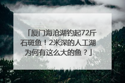 厦门海沧湖钓起72斤石斑鱼！2米深的人工湖为何有这么大的鱼？