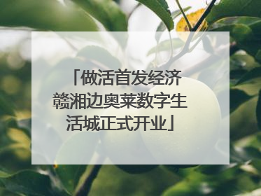 做活首发经济 赣湘边奥莱数字生活城正式开业