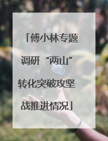 傅小林专题调研“两山”转化突破攻坚战推进情况