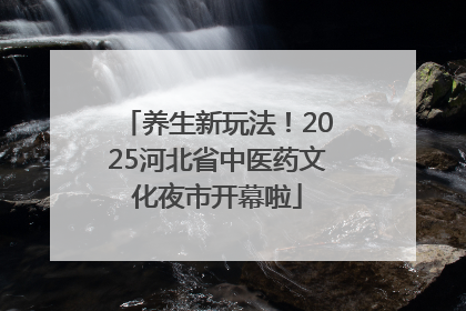 养生新玩法！2025河北省中医药文化夜市开幕啦