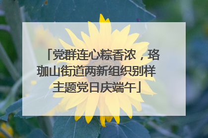 党群连心粽香浓，珞珈山街道两新组织别样主题党日庆端午