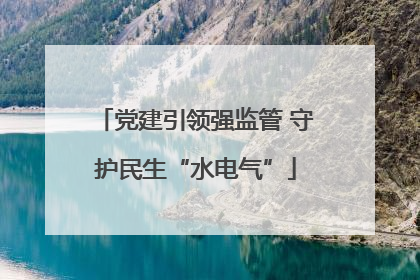党建引领强监管 守护民生“水电气”