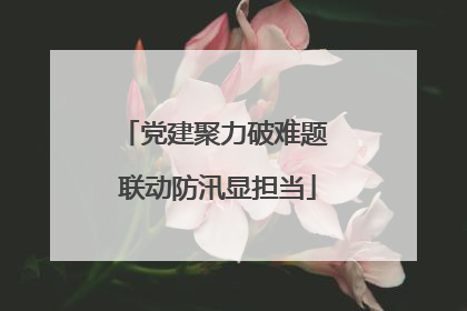 党建聚力破难题 联动防汛显担当