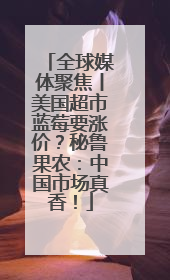 全球媒体聚焦丨美国超市蓝莓要涨价？秘鲁果农：中国市场真香！