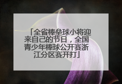 全省棒垒球小将迎来自己的节日，全国青少年棒球公开赛浙江分区赛开打