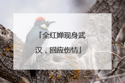全红婵现身武汉，回应伤情
