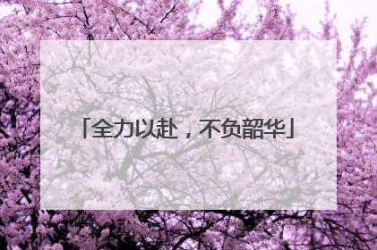 全力以赴，不负韶华