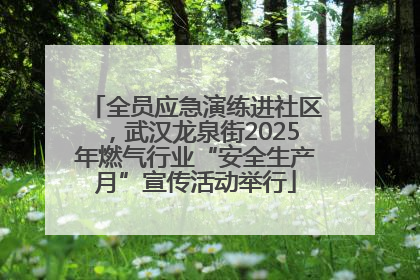 全员应急演练进社区，武汉龙泉街2025年燃气行业“安全生产月”宣传活动举行