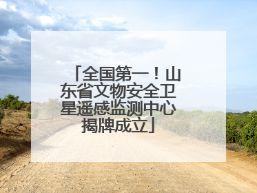 全国第一！山东省文物安全卫星遥感监测中心揭牌成立
