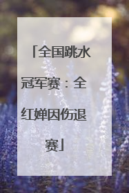 全国跳水冠军赛：全红婵因伤退赛