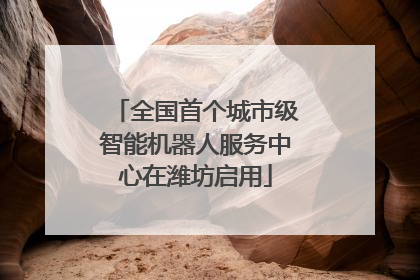 全国首个城市级智能机器人服务中心在潍坊启用