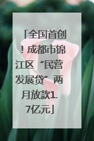 全国首创！成都市锦江区“民营发展贷”两月放款1.7亿元