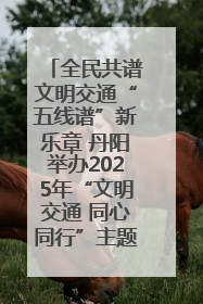 全民共谱文明交通“五线谱”新乐章 丹阳举办2025年“文明交通 同心同行”主题宣传活动
