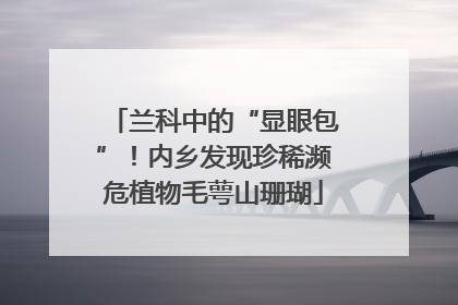 兰科中的“显眼包”！内乡发现珍稀濒危植物毛萼山珊瑚