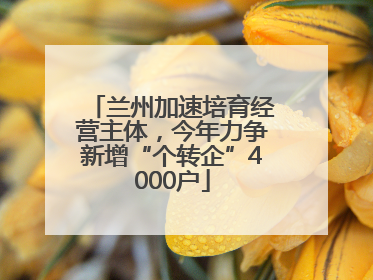 兰州加速培育经营主体，今年力争新增“个转企”4000户