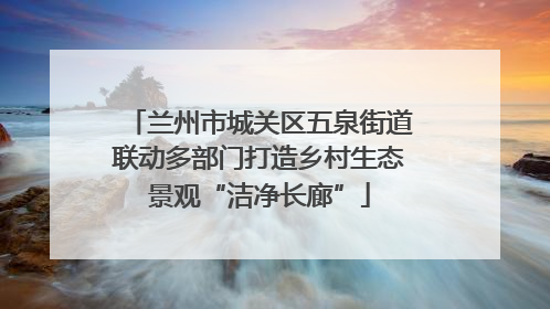 兰州市城关区五泉街道联动多部门打造乡村生态景观“洁净长廊”