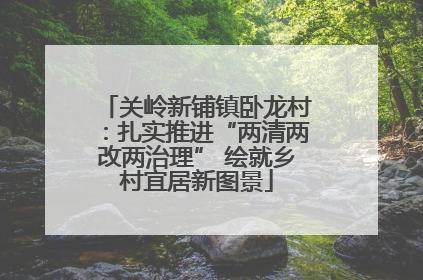关岭新铺镇卧龙村：扎实推进“两清两改两治理” 绘就乡村宜居新图景
