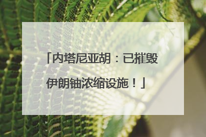 内塔尼亚胡：已摧毁伊朗铀浓缩设施！