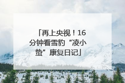 再上央视！16分钟看雪豹“凌小蛰”康复日记