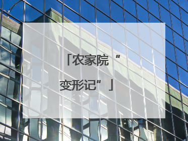 农家院“变形记”