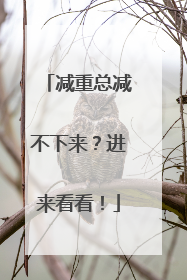 减重总减不下来？进来看看！