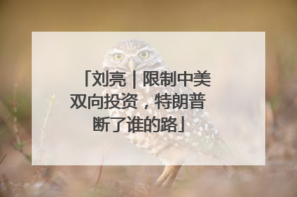 刘亮｜限制中美双向投资，特朗普断了谁的路