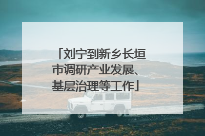 刘宁到新乡长垣市调研产业发展、基层治理等工作