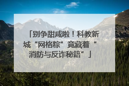 别争甜咸啦！科教新城“网格粽”竟藏着“消防与反诈秘籍”