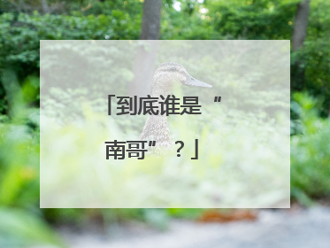 到底谁是“南哥”？