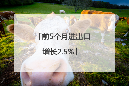 前5个月进出口增长2.5%