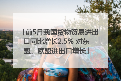 前5月我国货物贸易进出口同比增长2.5% 对东盟、欧盟进出口增长