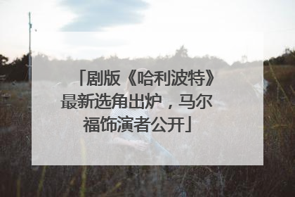 剧版《哈利波特》最新选角出炉，马尔福饰演者公开