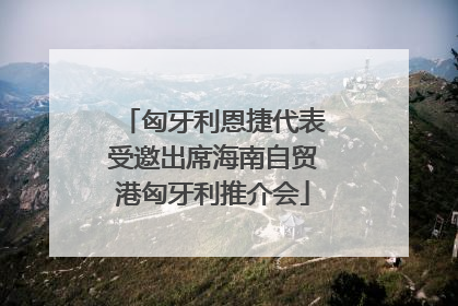 匈牙利恩捷代表受邀出席海南自贸港匈牙利推介会