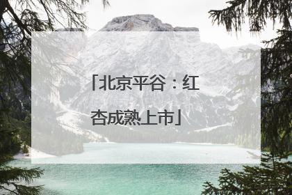 北京平谷：红杏成熟上市