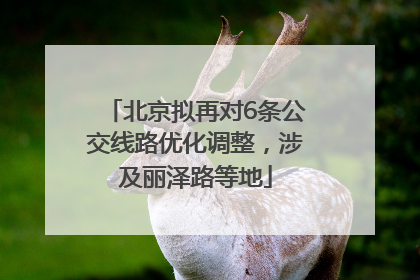 北京拟再对6条公交线路优化调整，涉及丽泽路等地