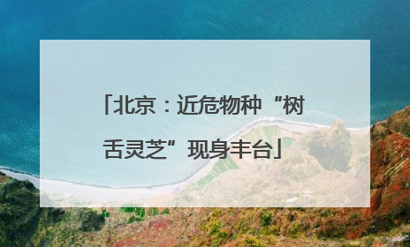 北京：近危物种“树舌灵芝”现身丰台