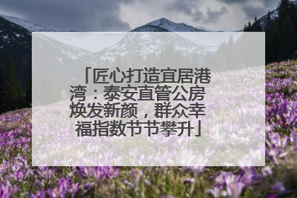 匠心打造宜居港湾：泰安直管公房焕发新颜，群众幸福指数节节攀升