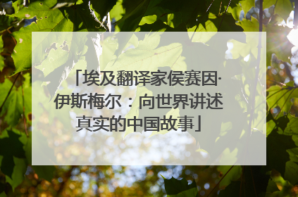 埃及翻译家侯赛因·伊斯梅尔：向世界讲述真实的中国故事