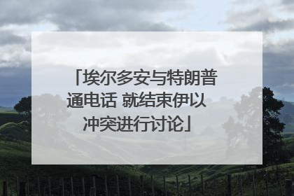 埃尔多安与特朗普通电话 就结束伊以冲突进行讨论